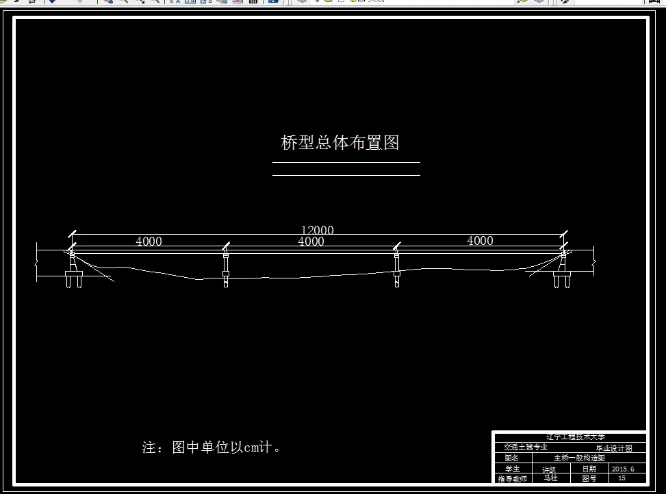桥型总体布置图