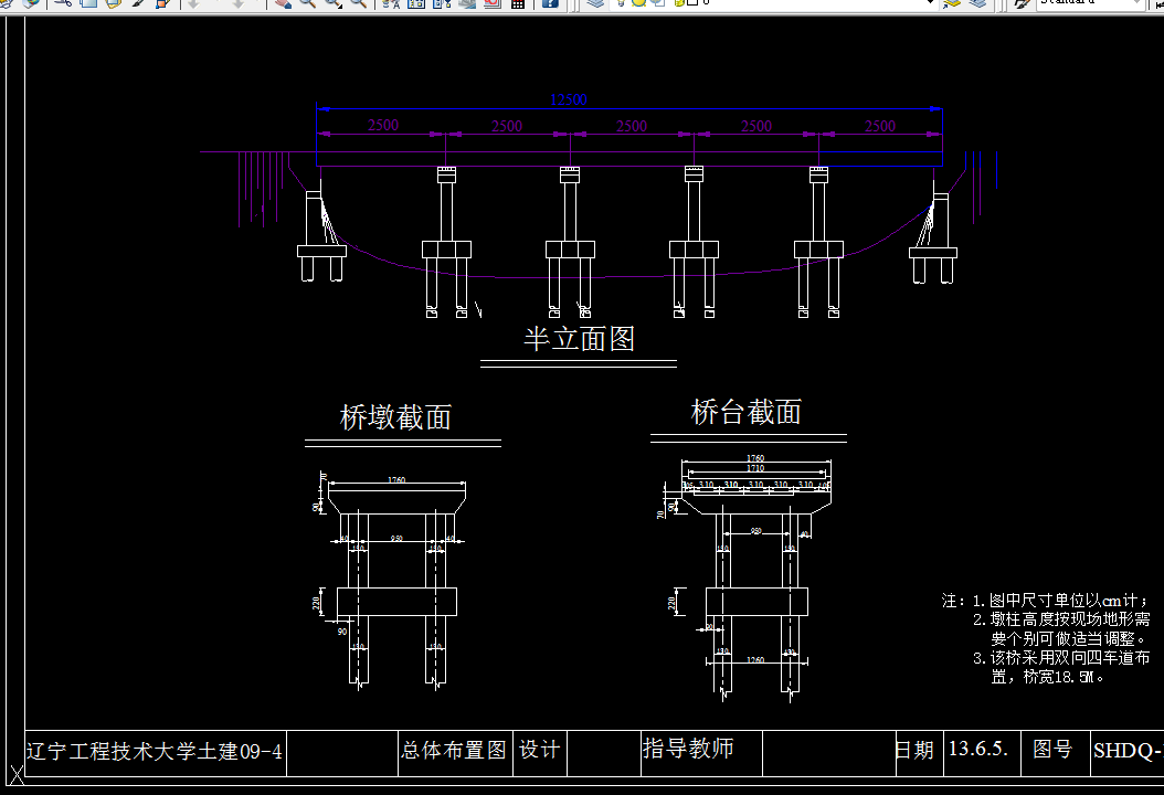 E974-三环大桥下部结构设计
